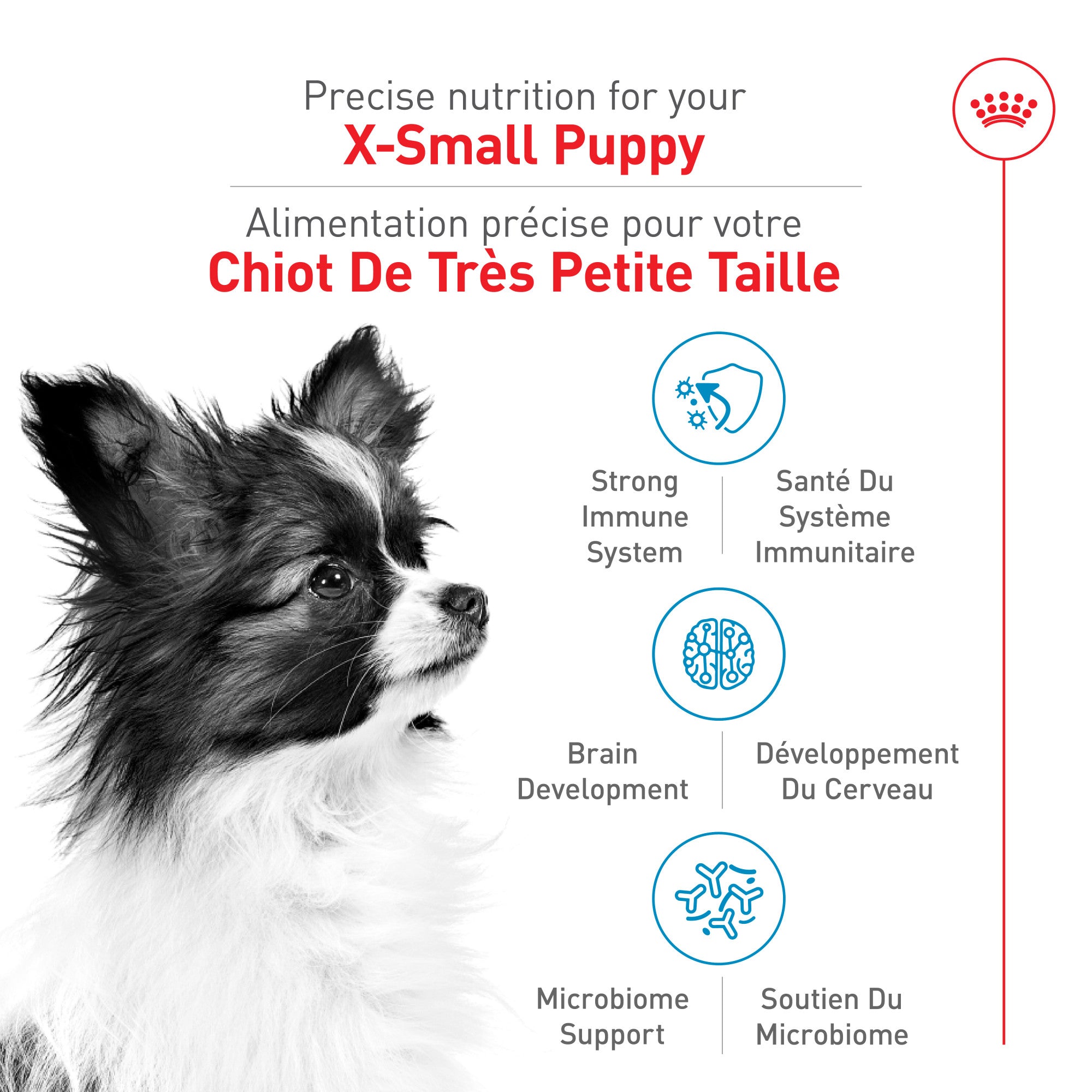 Royal Canin® Size Health Nutrition™ X-Small Puppy Dry Puppy Food
