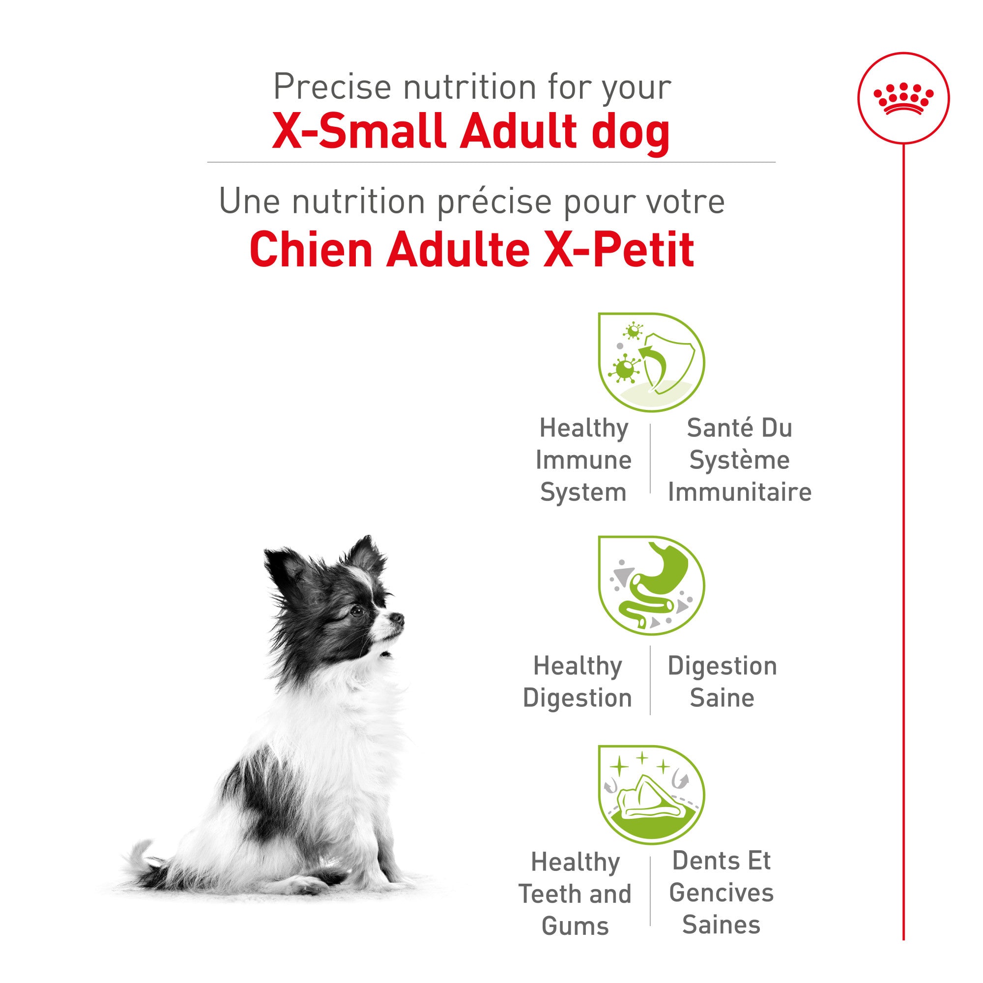 Royal Canin® Size Health Nutrition™ X-Small Adult Dry Dog Food
