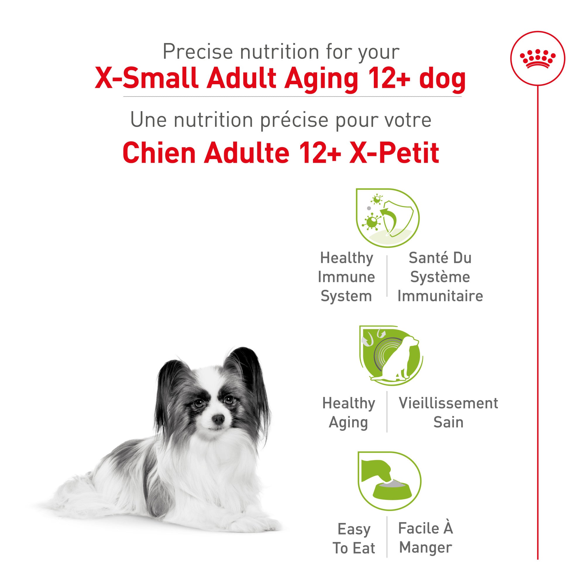 Royal Canin Size Health Nutrition X-Small Aging 12+ Dry Dog Food