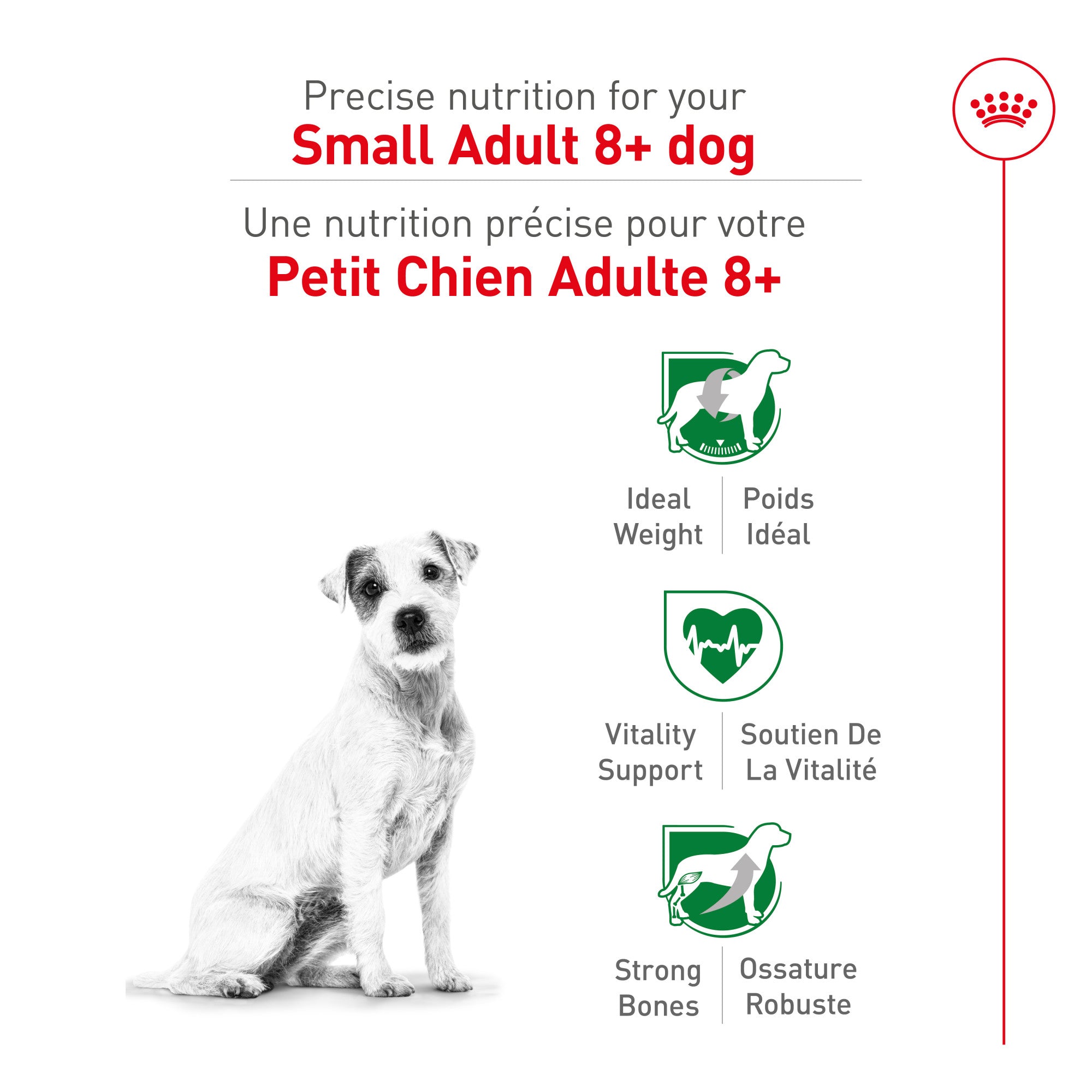 Royal Canin Small Mature 8+ Dog Food