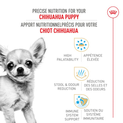 Royal Canin Breed Health Nutrition Chihuahua Puppy Dry Dog Food