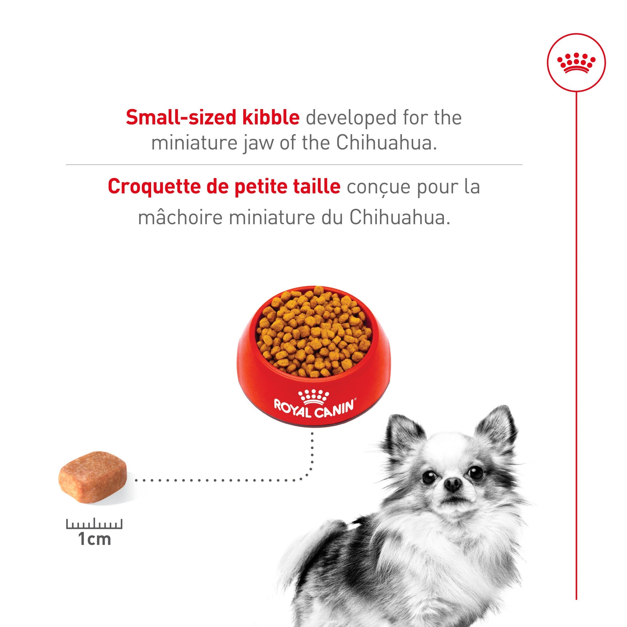Royal Canin Breed Health Nutrition Chihuahua Adult Dry Dog Food