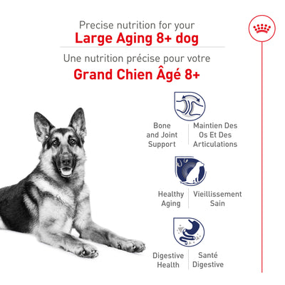 Royal Canin Large Aging 8+ Dry Dog Food