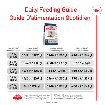 Royal Canin Large Aging 8+ Dry Dog Food