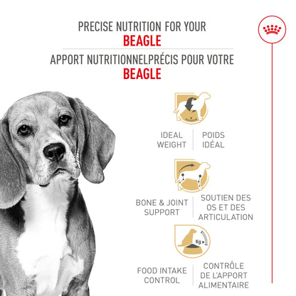 Royal Canin Race Specific Beagle Nourriture pour chiens adultes
