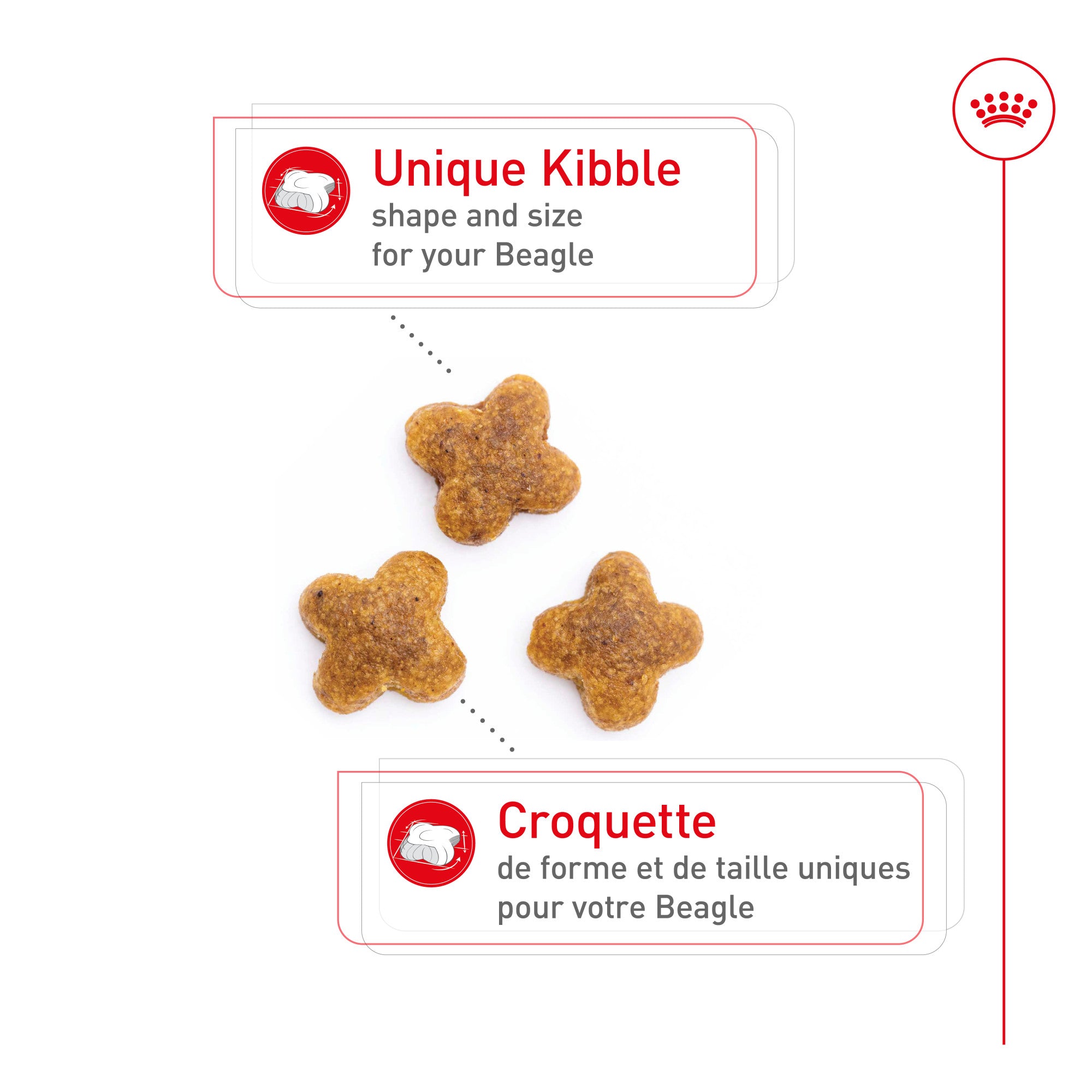 Royal Canin Race Specific Beagle Nourriture pour chiens adultes