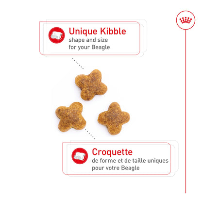 Royal Canin Race Specific Beagle Nourriture pour chiens adultes