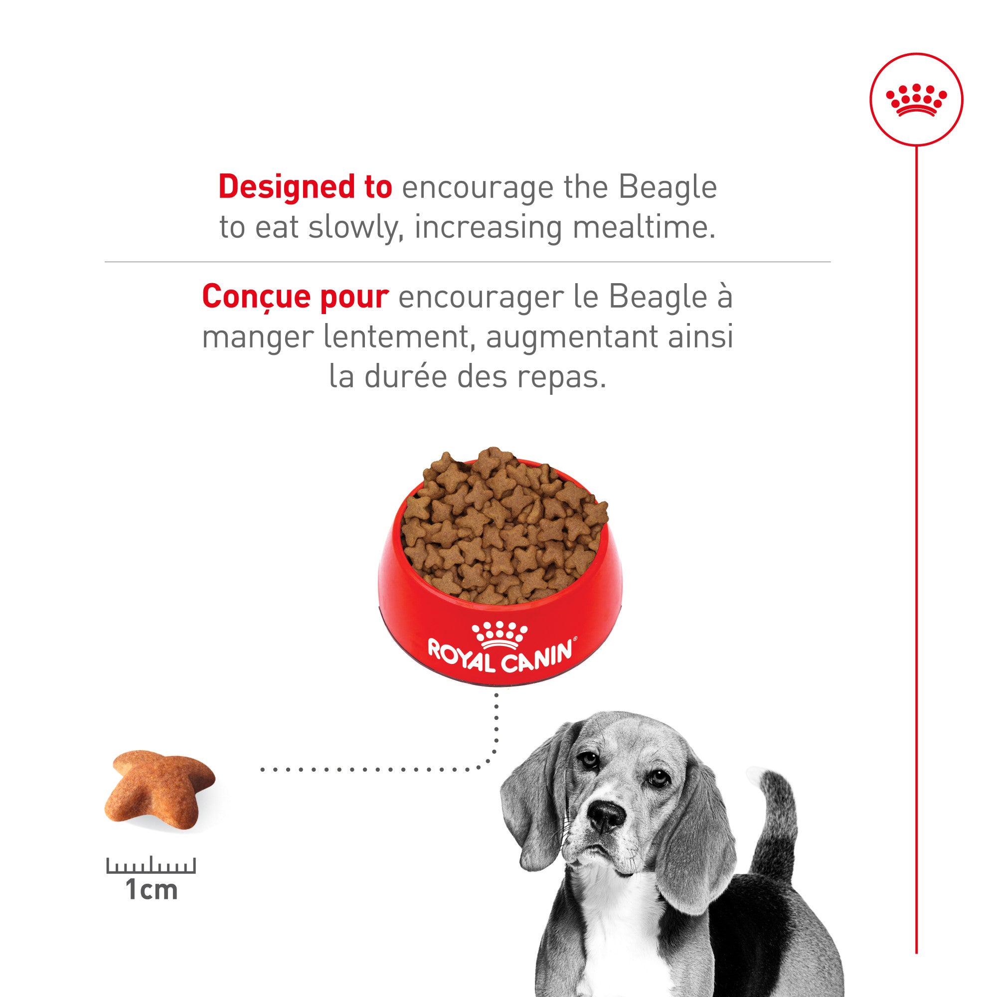 Royal Canin Race Specific Beagle Nourriture pour chiens adultes