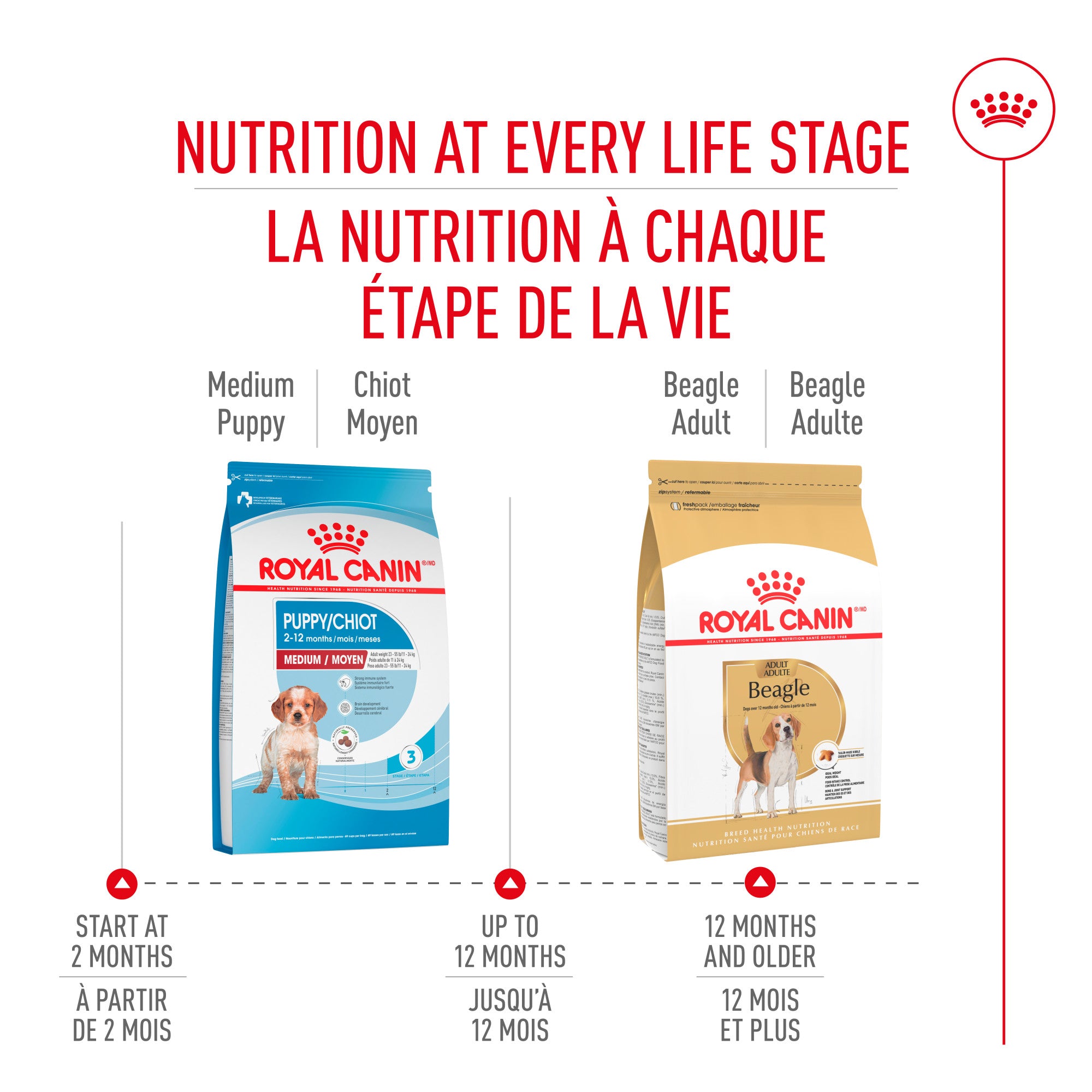 Royal Canin Race Specific Beagle Nourriture pour chiens adultes