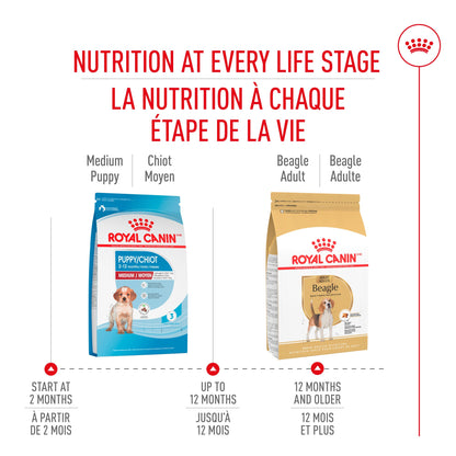Royal Canin Race Specific Beagle Nourriture pour chiens adultes