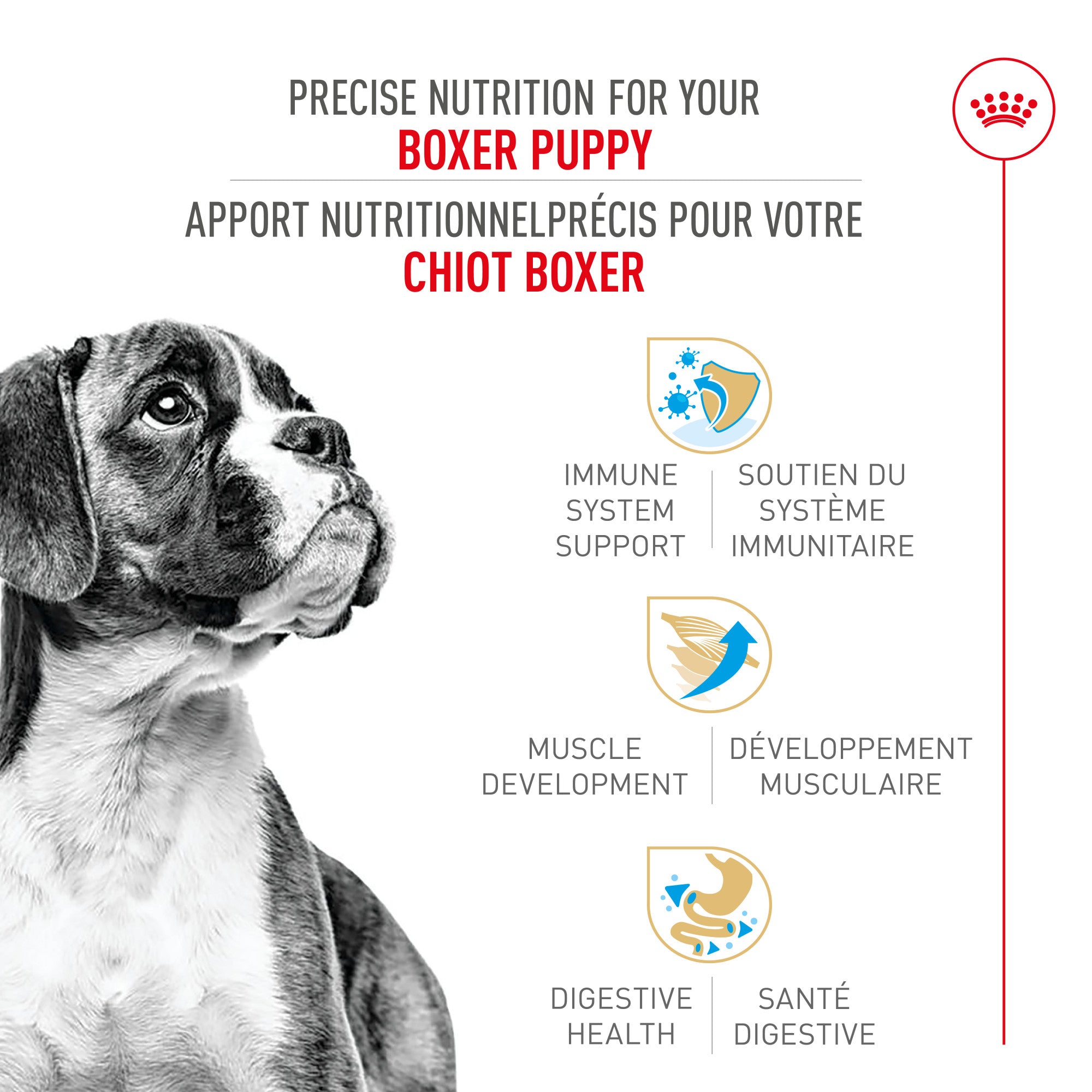 Royal Canin Breed Health Nutrition Boxer Puppy Dry Dog Food