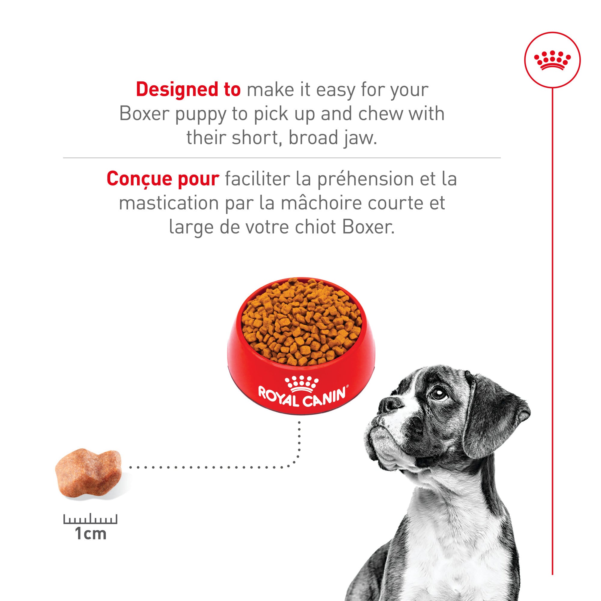 Royal Canin Breed Health Nutrition Boxer Puppy Dry Dog Food