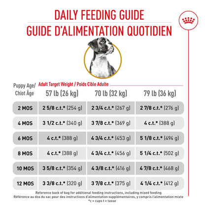 Royal Canin Breed Health Nutrition Boxer Puppy Dry Dog Food