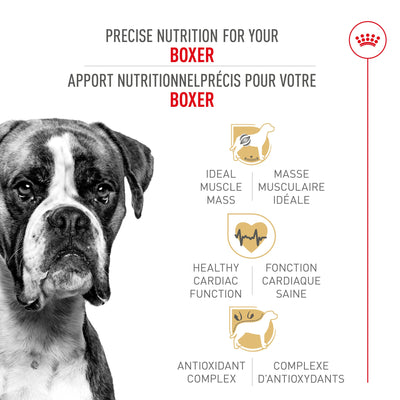 Royal Canin Breed Health Nutrition Boxer Croquettes pour chiens adultes