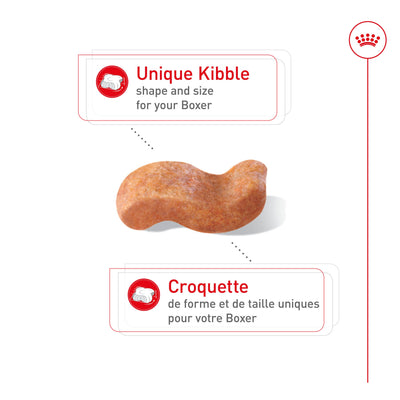 Royal Canin Breed Health Nutrition Boxer Croquettes pour chiens adultes