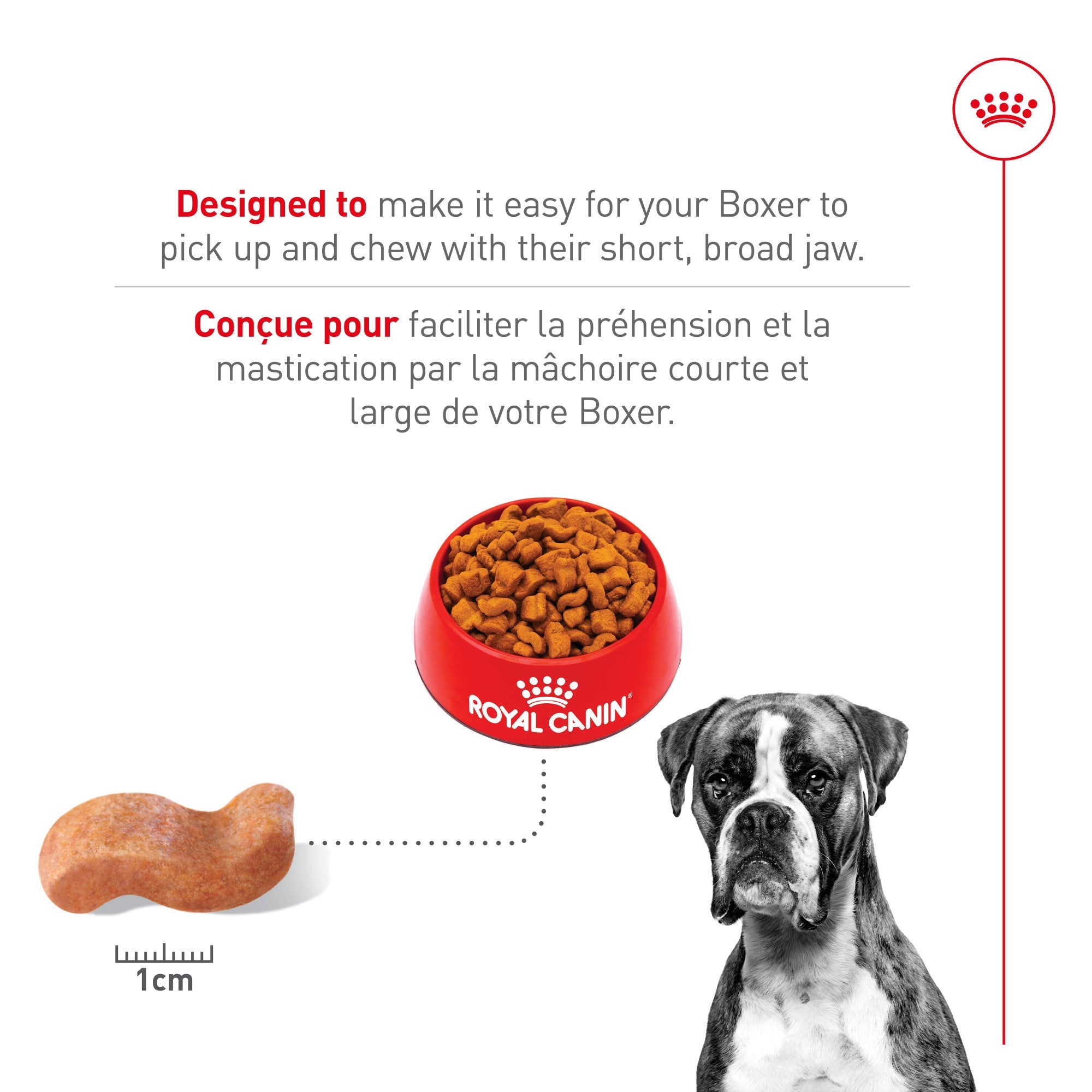 Royal Canin Breed Health Nutrition Boxer Croquettes pour chiens adultes