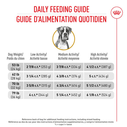 Royal Canin Breed Health Nutrition Boxer Croquettes pour chiens adultes