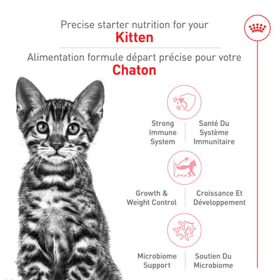 Royal Canin Kitten Food Spay & Neutered