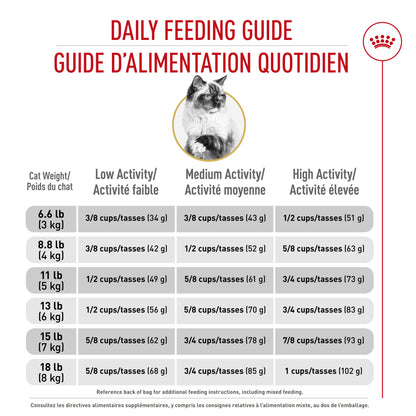 Royal Canin Feline Breed Nutrition Ragdoll Croquettes pour Chats Adultes