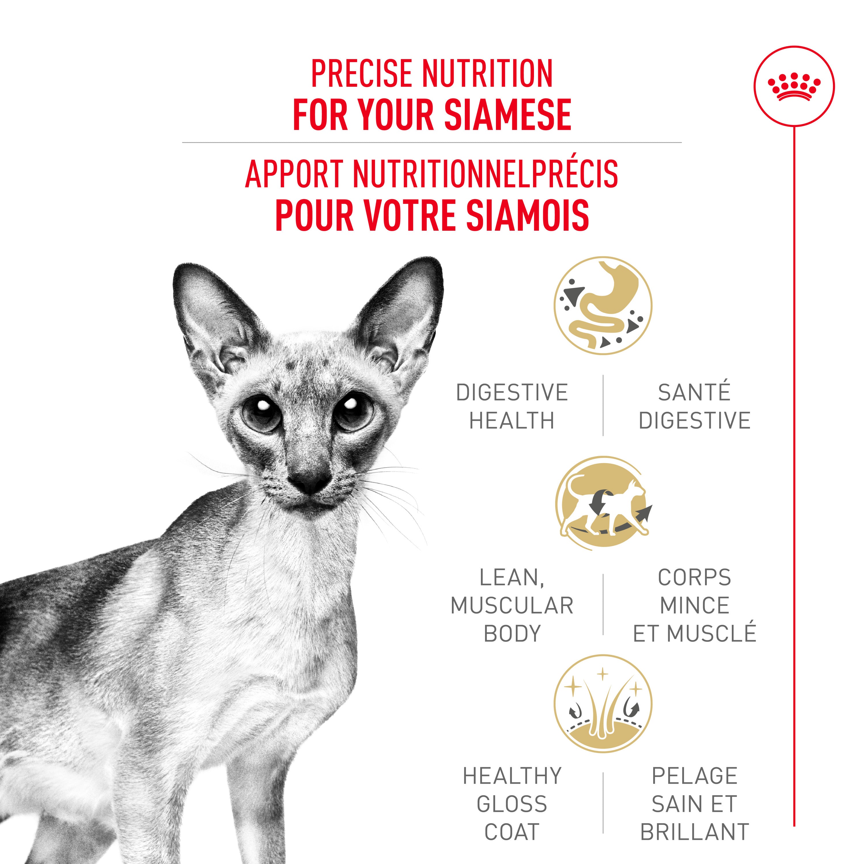 Royal Canin Feline Breed Nutrition Siamese Adult Dry Cat Food