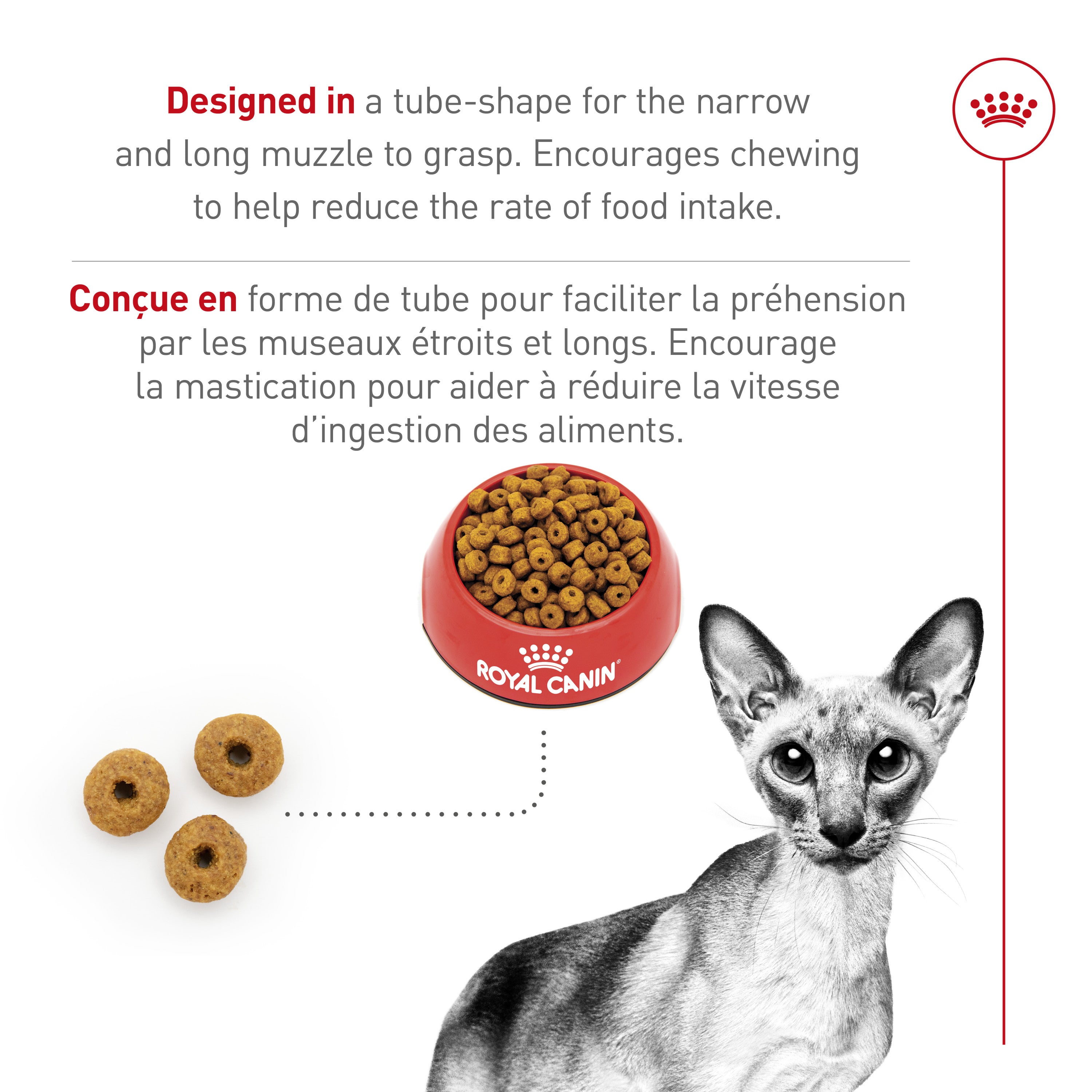 Royal Canin Feline Breed Nutrition Siamese Adult Dry Cat Food