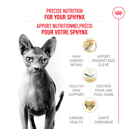 Royal Canin Feline Breed Nutrition Sphynx Adult Dry Cat Food