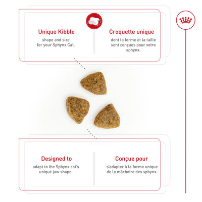 Royal Canin Feline Breed Nutrition Maine Coon Croquettes pour chat adulte