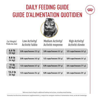 Royal Canin Feline Breed Nutrition Maine Coon Croquettes pour chat adulte