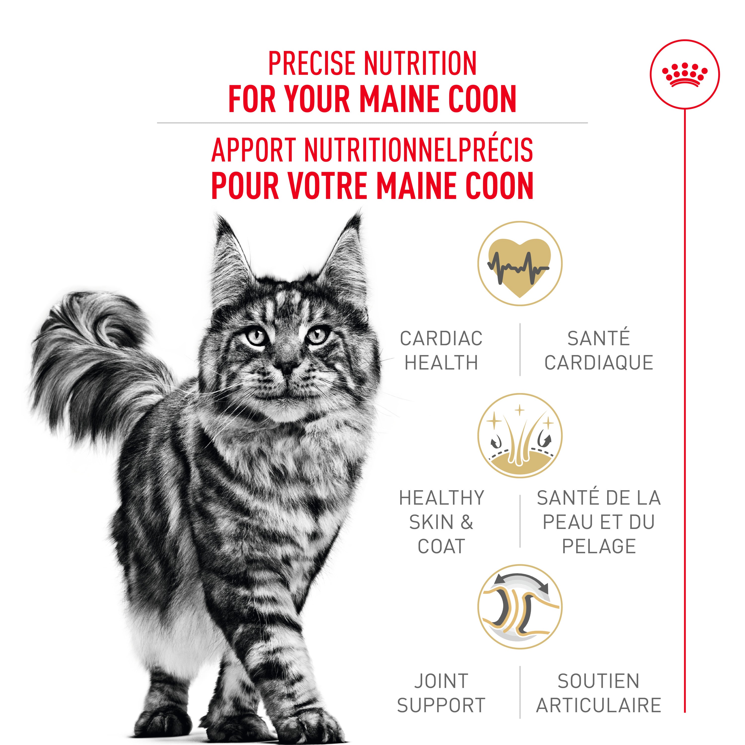 Royal Canin® Feline Breed Nutrition™ Maine Coon Dry Cat Food