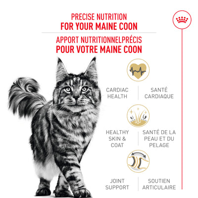 Royal Canin Feline Breed Nutrition Maine Coon Croquettes pour chat adulte