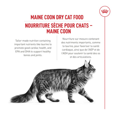 Royal Canin Feline Breed Nutrition Maine Coon Croquettes pour chat adulte