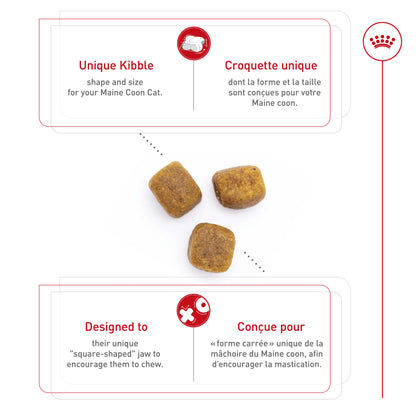 Royal Canin® Feline Breed Nutrition™ Maine Coon Dry Cat Food