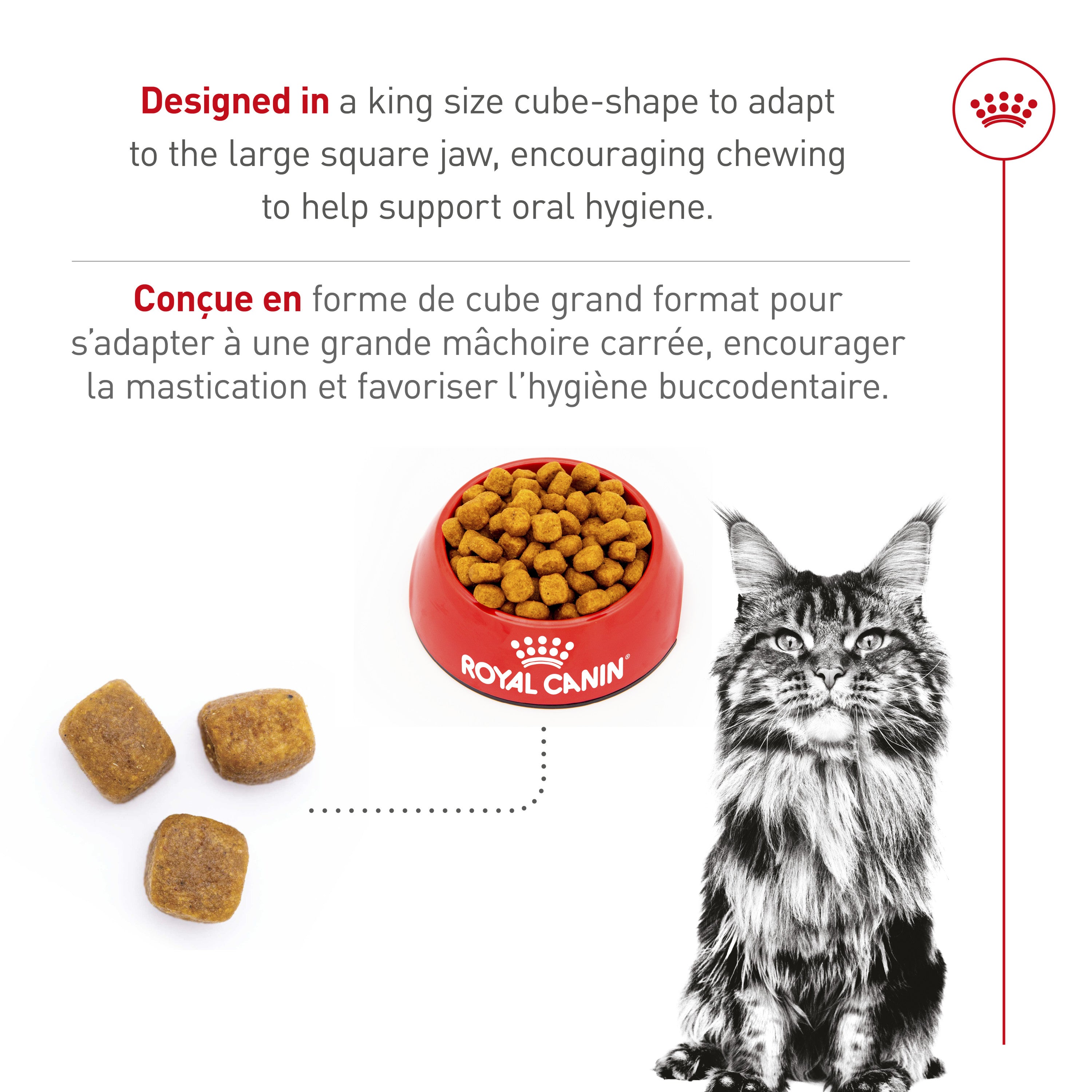 Royal Canin® Feline Breed Nutrition™ Maine Coon Dry Cat Food