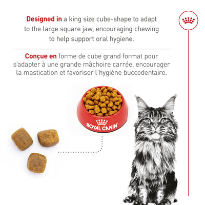 Royal Canin Feline Breed Nutrition Maine Coon Croquettes pour chat adulte