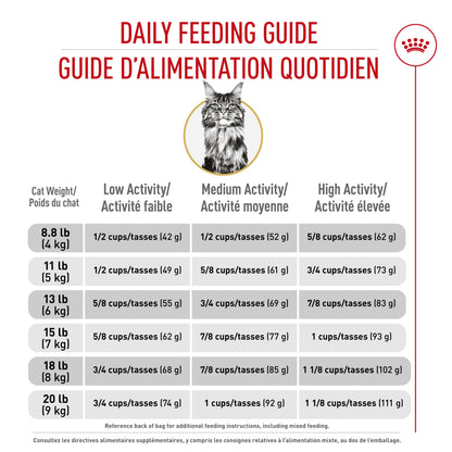 Royal Canin® Feline Breed Nutrition™ Maine Coon Dry Cat Food