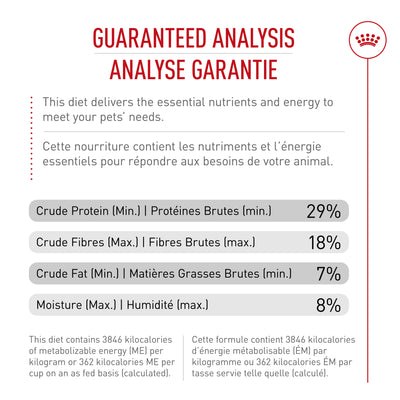 Royal Canin Feline Breed Nutrition Maine Coon Croquettes pour chat adulte