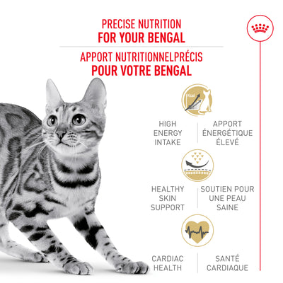 Royal Canin Feline Breed Nutrition Bengal Adult Dry Cat Food