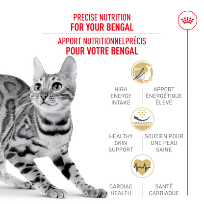 Royal Canin Feline Breed Nutrition Bengal Adult Dry Cat Food