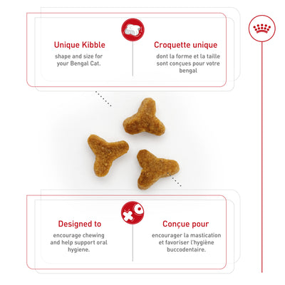 Royal Canin Feline Breed Nutrition Bengal Adult Dry Cat Food