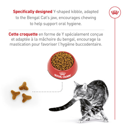 Royal Canin Feline Breed Nutrition Bengal Adult Dry Cat Food