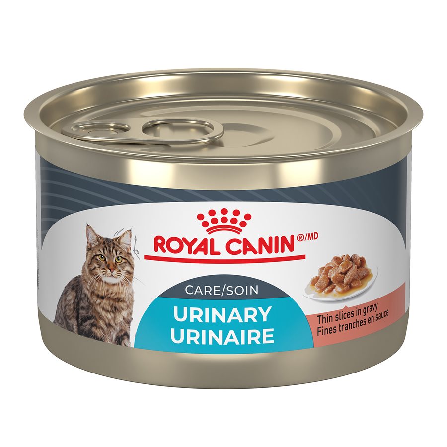 Royal Canin Canned Cat Food Urinary Care Thin Slices In Gravy 145g Canned Cat Food 145g | PetMax Canada