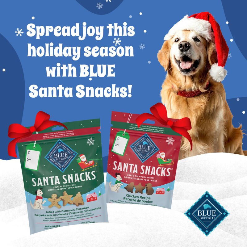 Gâteries molles pour chiens Blue Buffalo Santa Snacks