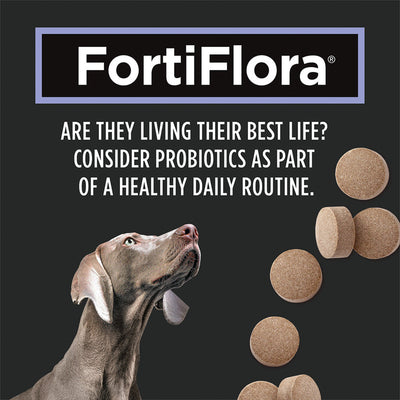 Purina Pro Plan Veterinary FortiFlora Probiotic Tablet Dog Supplement