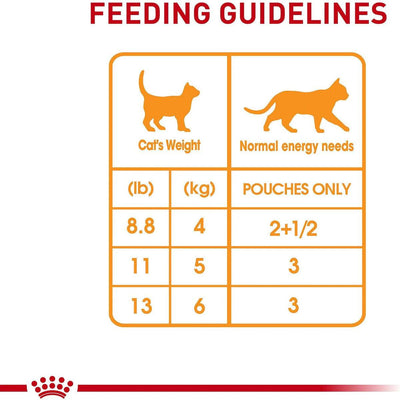 Royal Canin Cat Pouches Chunks In Gravy Adult Hair & Skin - 85g - Canned Cat Food - Royal Canin - PetMax Canada