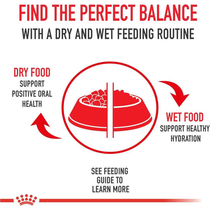 Royal Canin Cat Pouches Chunks In Gravy Adult Hair & Skin - 85g - Canned Cat Food - Royal Canin - PetMax Canada