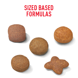 Royal Canin Lifestage Formulas Sized Based Formulas