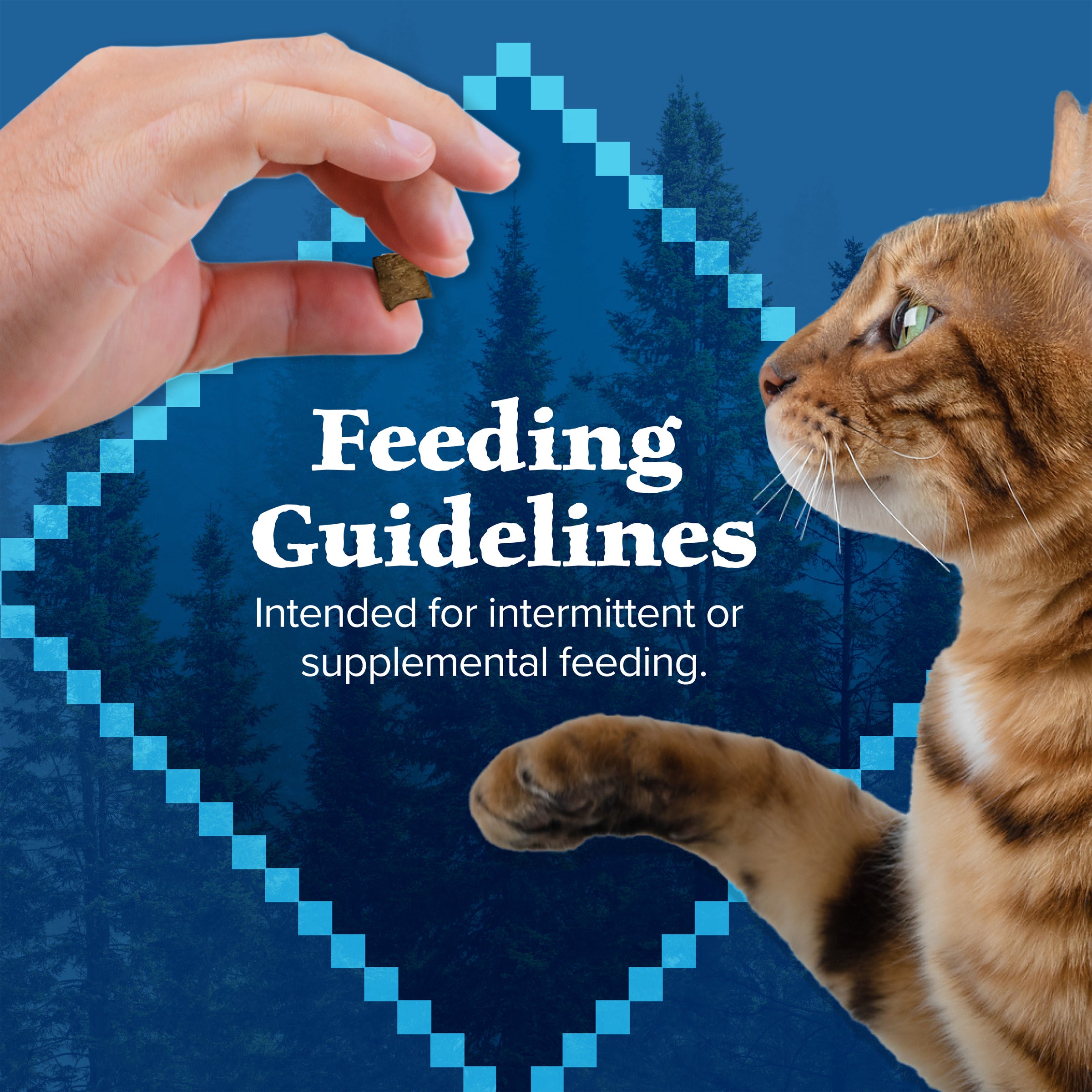 Blue Buffalo Wilderness Cat Treats Chicken & Trout - Image 5 - Blue Buffalo - PetMax Canada