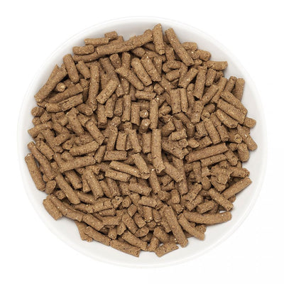 Marshall Premium Ferret Diet Dry Ferret Food - Pellets in a bowl - Marshall - PetMax Canada