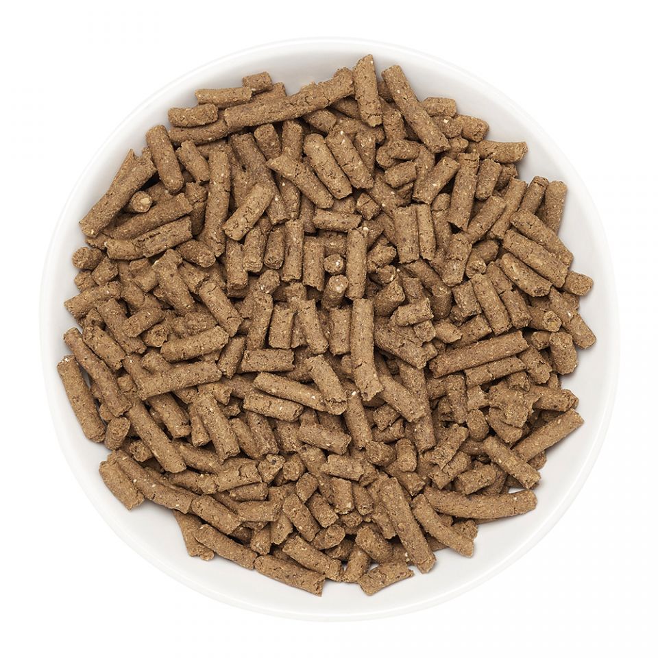 Marshall Premium Ferret Diet Dry Ferret Food - Pellets in a bowl - Marshall - PetMax Canada