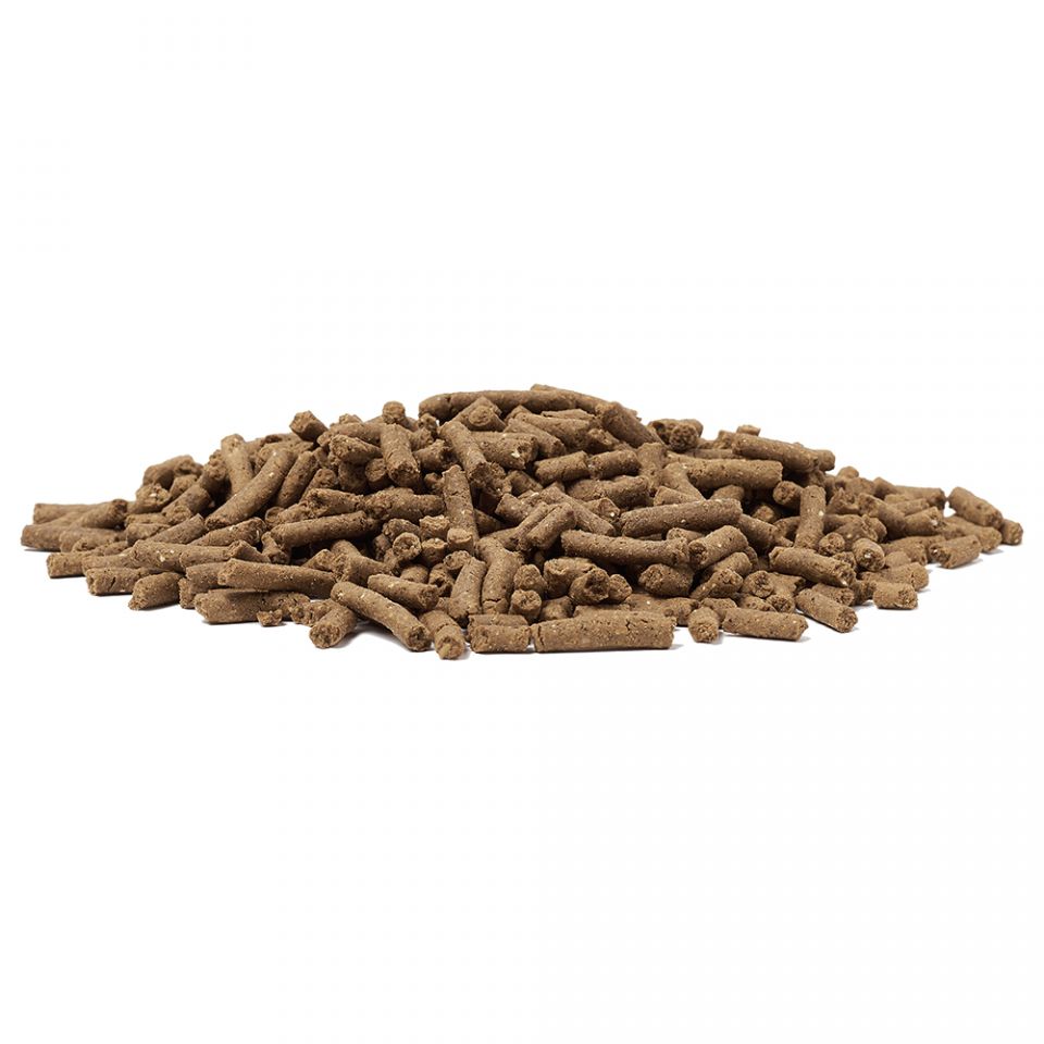 Marshall Premium Ferret Diet Dry Ferret Food - Close-up of the pellets - Marshall - PetMax Canada